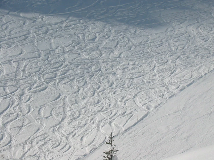 skier is looking down at the snow - covered mountain