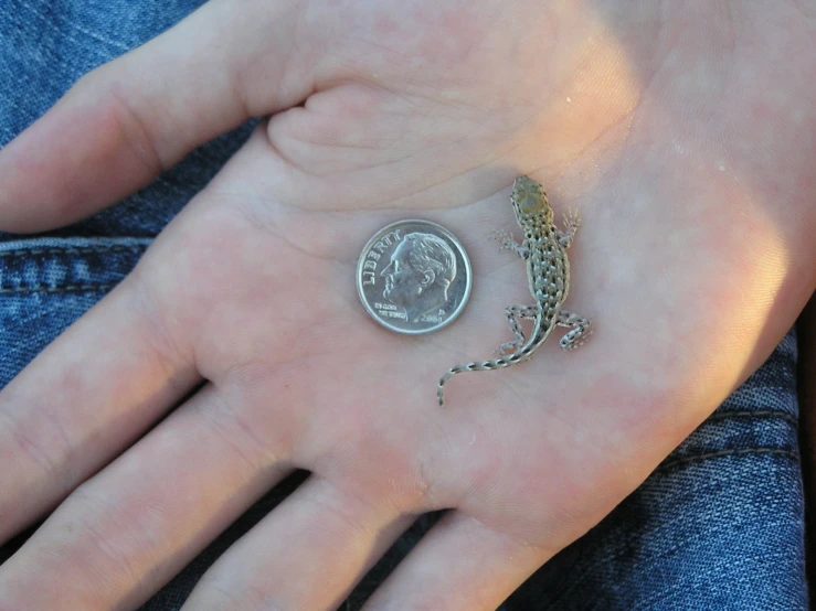 a person's hands holding a piece of metal with chains and a coin