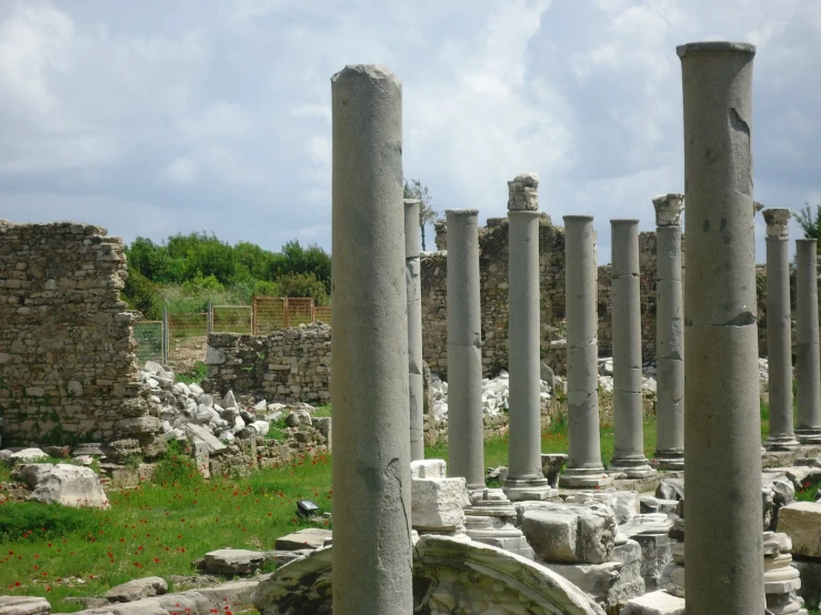 a number of columns with some birds sitting on the ground