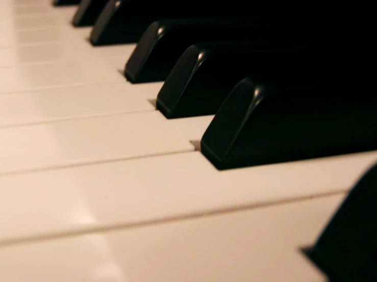the front and back keys of an electronic piano