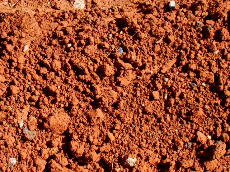 a dirt ground with tiny rocks and small white dots