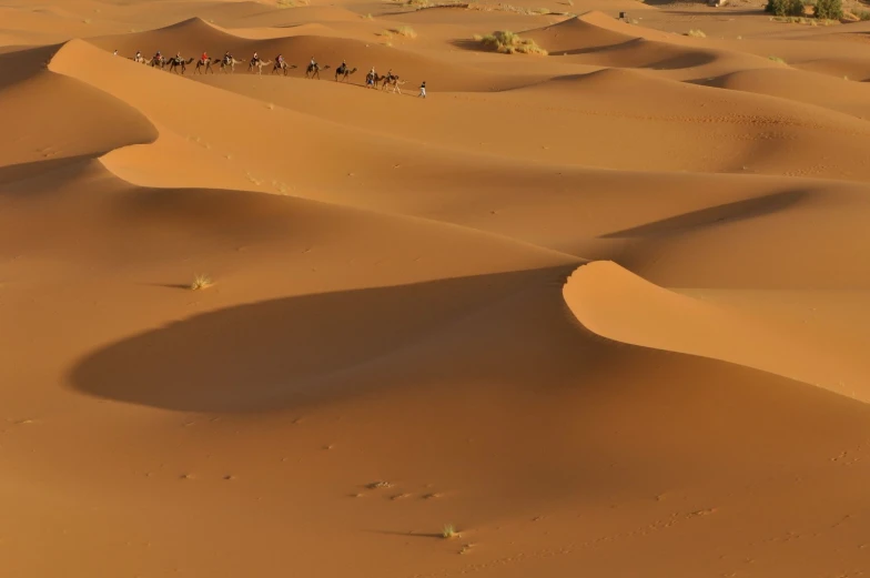 people are walking along a sandy plain