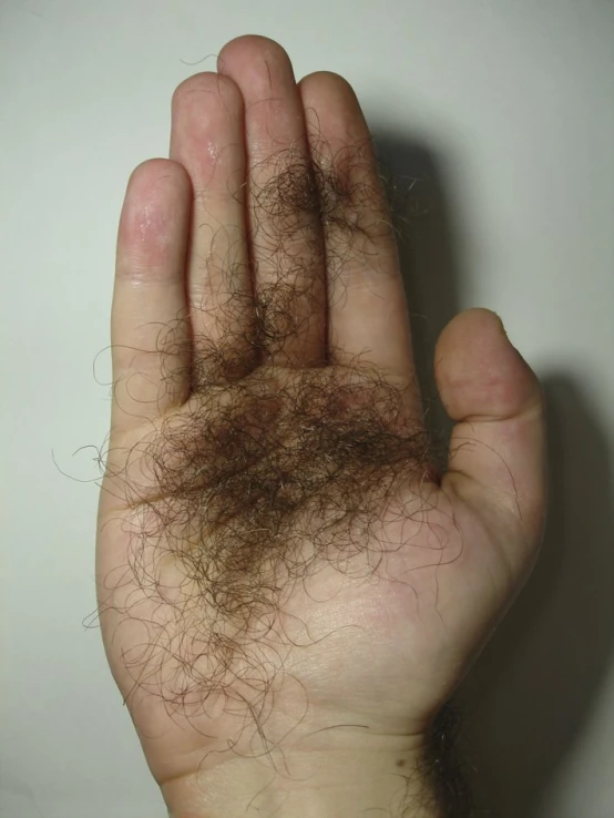 this is a close up of a hair left over