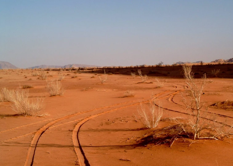 tracks on a road through an arid area