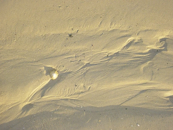 a person walking across a sand covered beach