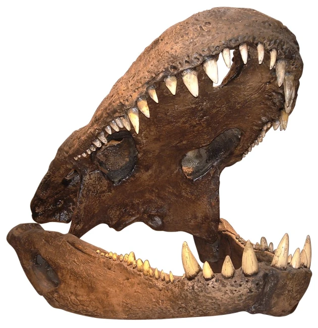 the dinosaur - like teeth of a dinosaur are prominent throughout this po