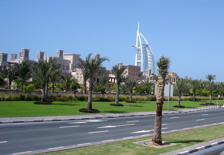 a street with a palm tree on the side and tall buildings in the background