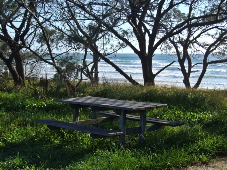 a picnic table sitting in the grass by the water