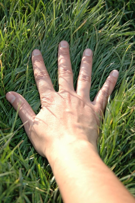 an hand on top of grass that is almost close