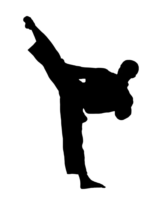 the silhouette of a man doing martial moves