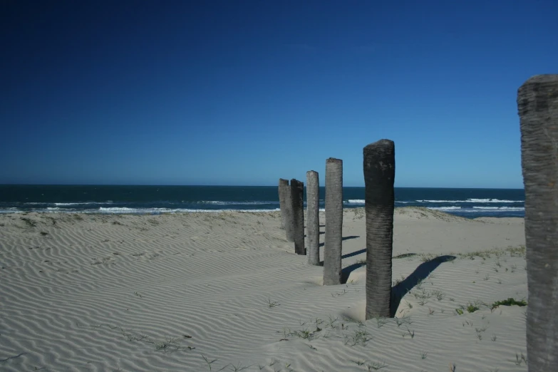 some long poles sticking out of the sand