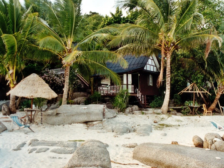 a tropical beach house is surrounded by palm trees