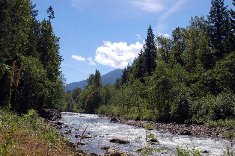 there is a river that goes through a tree lined mountain