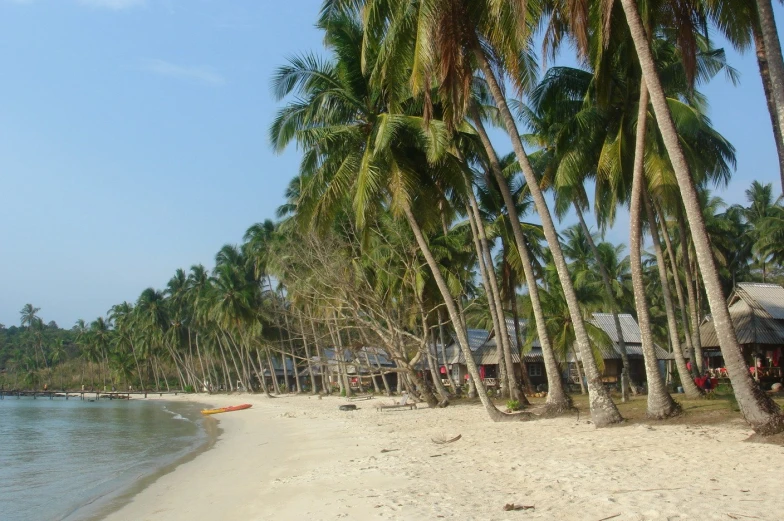 there is a man that is on the beach near the water