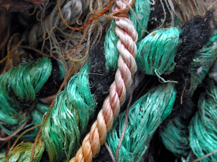 many green rope ropes are hanging down