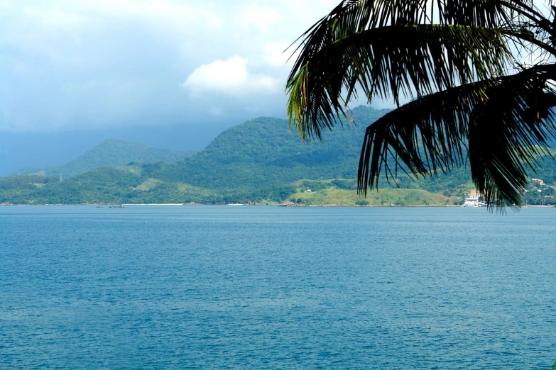 an ocean with a palm tree and a boat floating in it