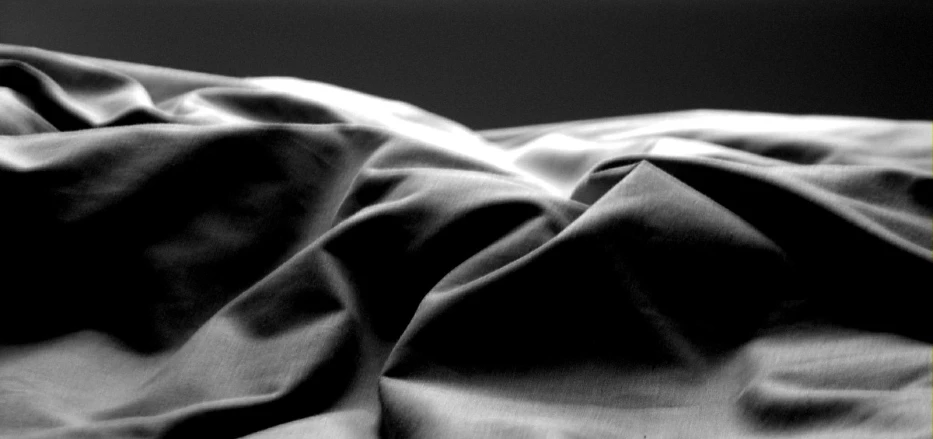 black and white po of linen blowing in the wind
