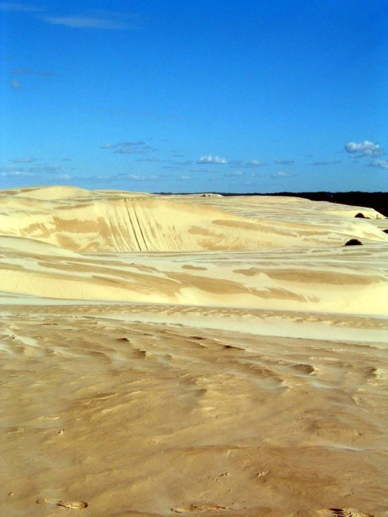 an expanse of sand sits in front of the ocean
