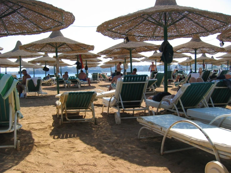 people in chairs with umbrellas sitting on the beach