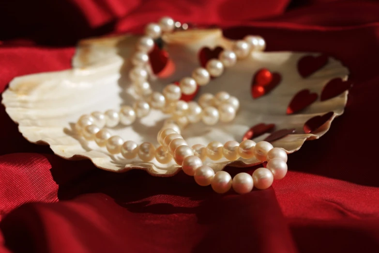 a white shell on a red background with pearls in it