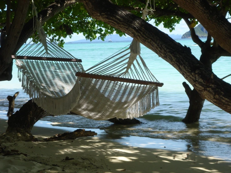 a hammock sits between two trees on a beach
