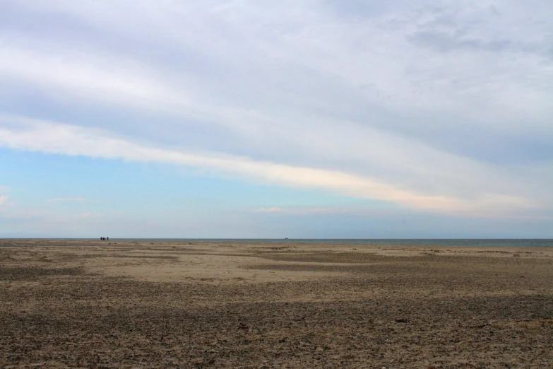 an open sandy field with a horse and seagulls on the horizon