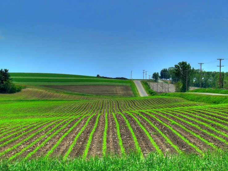 the tractor in the field is plowing the land