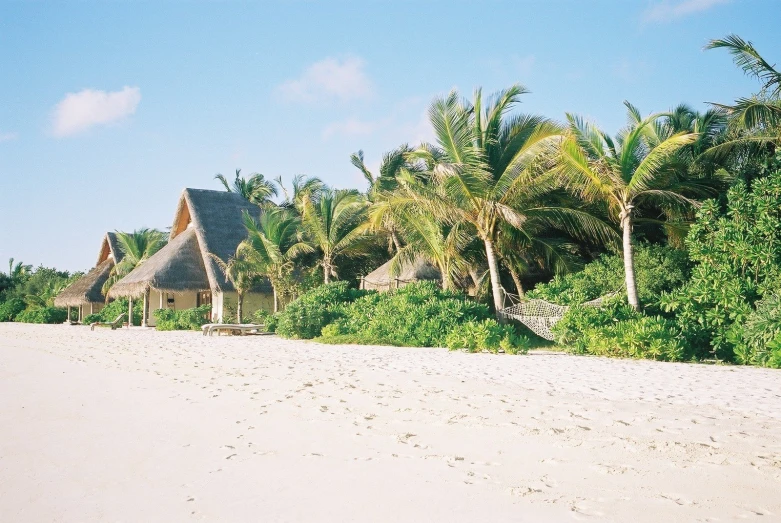 a beach next to some trees and buildings