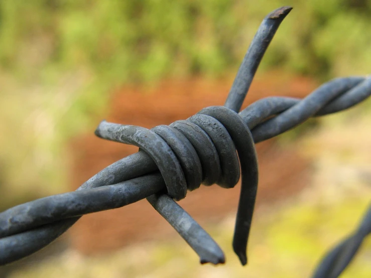 the closeup view of a steel fence with wire