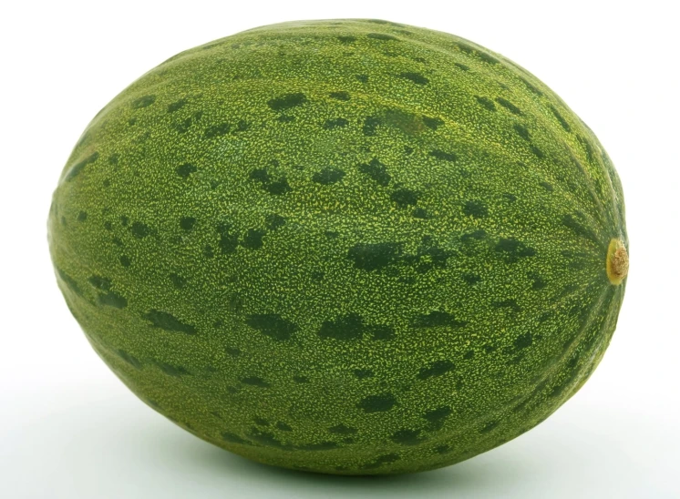 a very big pretty green fruit on a white table