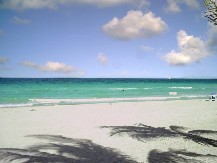 a sandy beach is seen with palm trees casting shadows