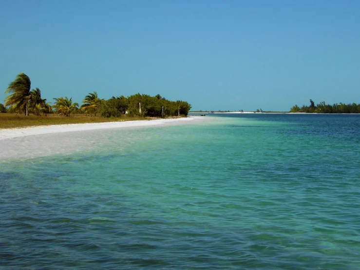 a white sandy beach surrounded by green trees