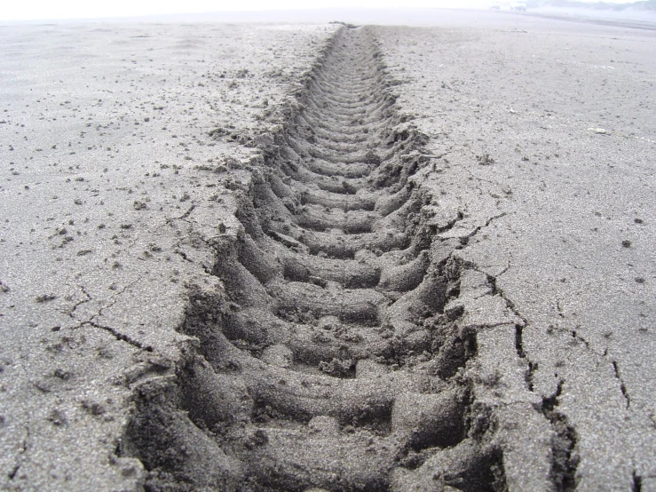 tire tracks make the dirt appear to have been washed away from the sand