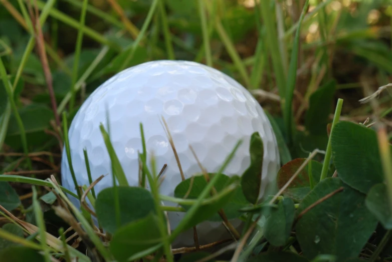 a golf ball in the grass on the ground