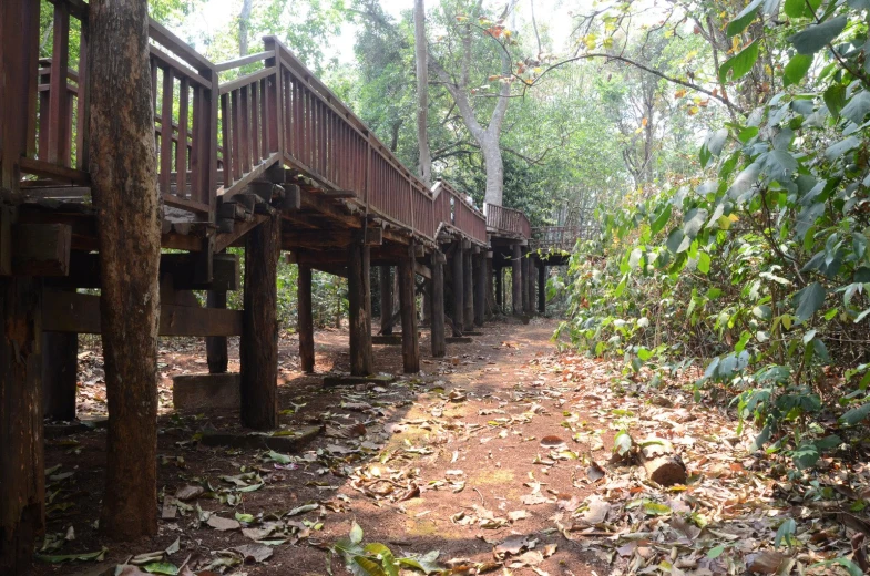 a walkway made out of wooden posts in the middle of a forest