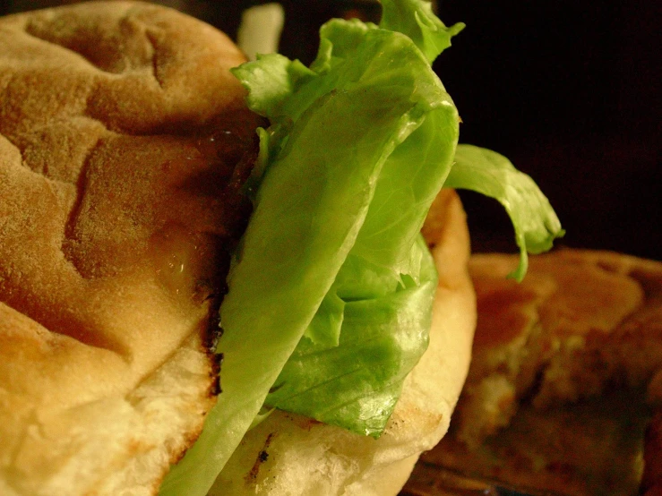 a sandwich is pictured with lettuce on a roll