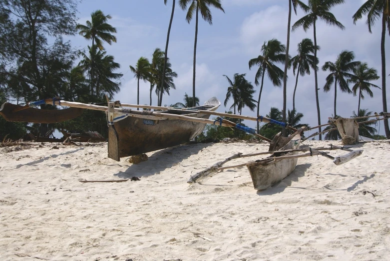 two boats on a beach and palm trees