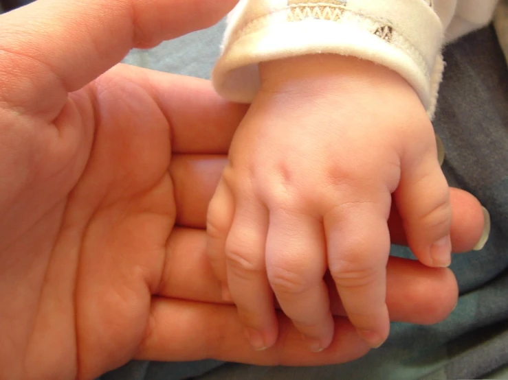 baby is holding on to an adult's hand
