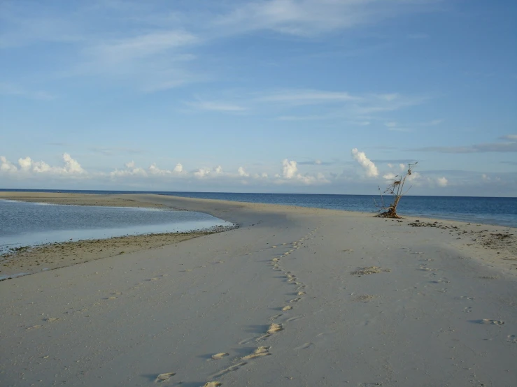 footprints in the sand at the end of the beach