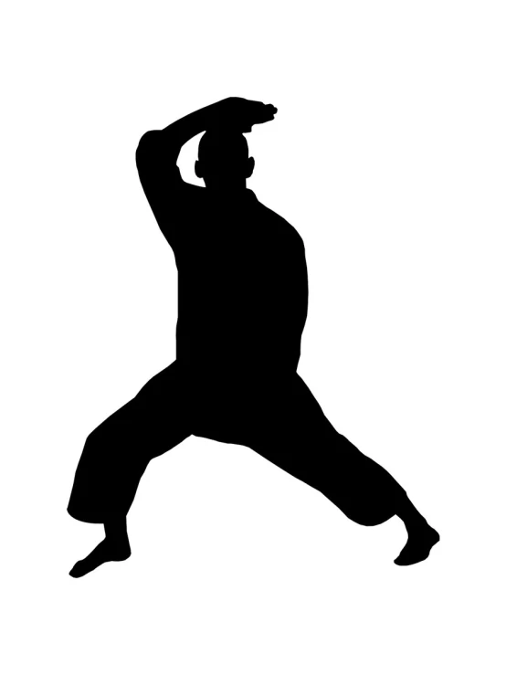 a man is doing a kick in the air