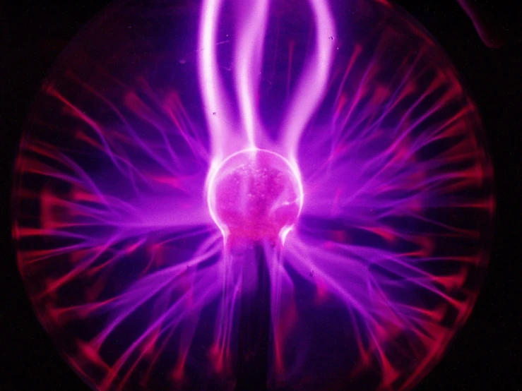 a purple object that looks like an exploding egg
