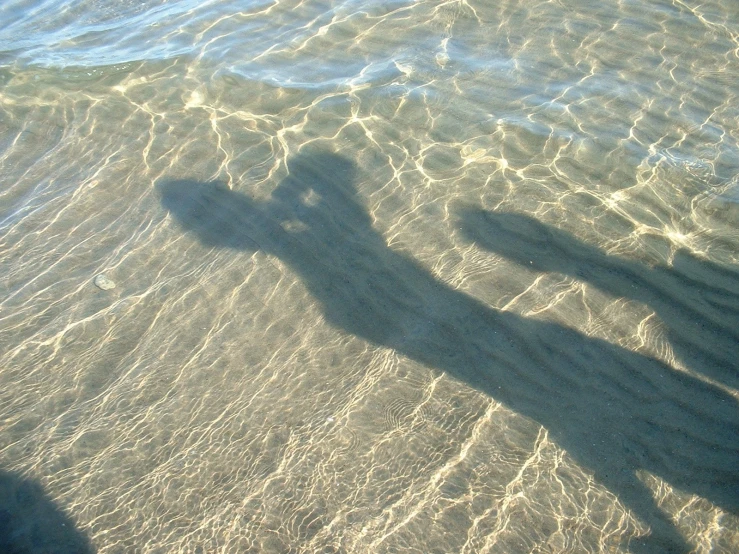 the shadow is seen on the sand by a body of water