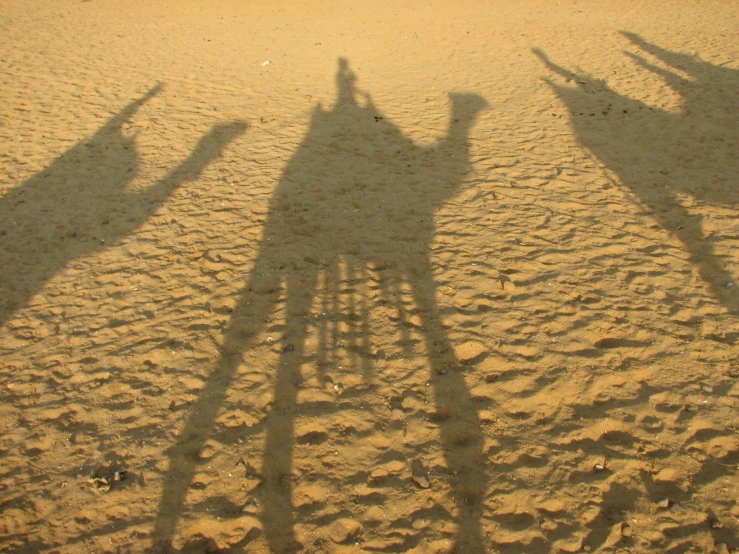 the shadow of several people on horseback in a desert