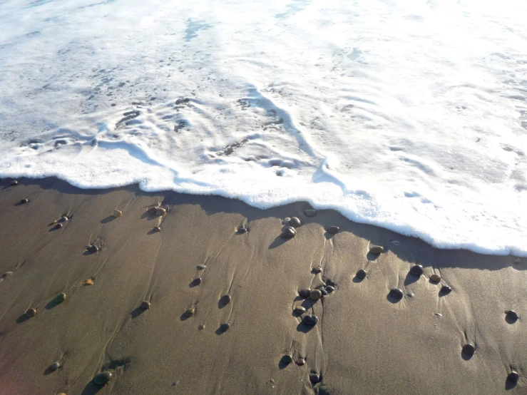 the ocean's shore is covered with footprints and shells