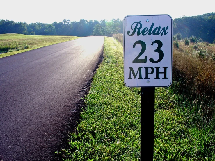 a close up of a speed limit sign in grass near a road