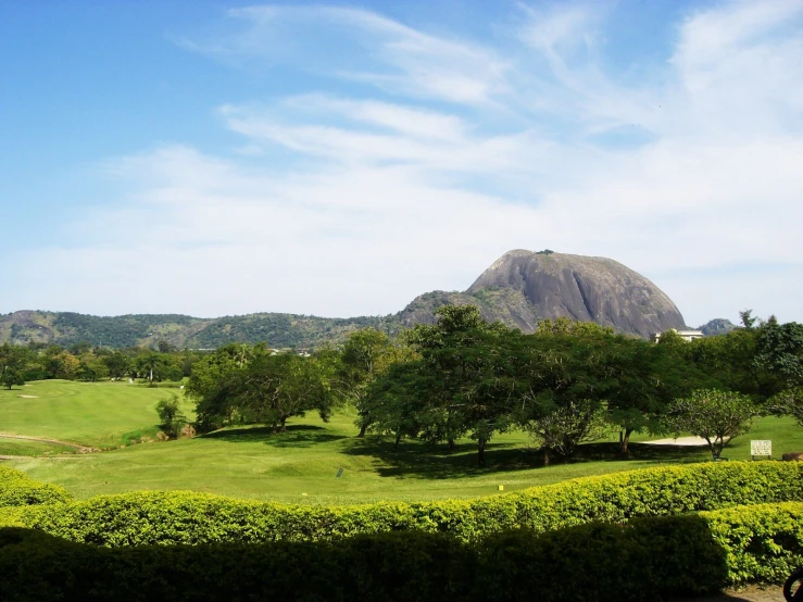 a field with hedges in front of a large rock