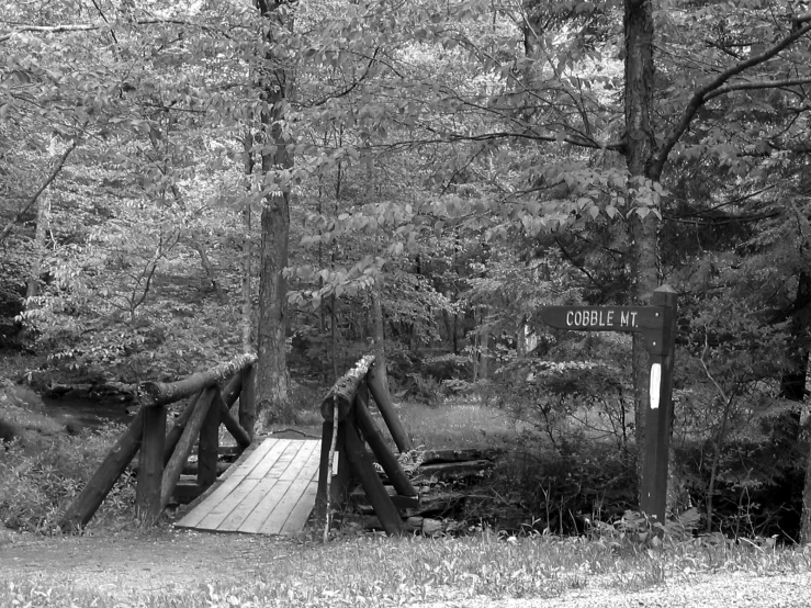 a bridge in the woods with trees in the background