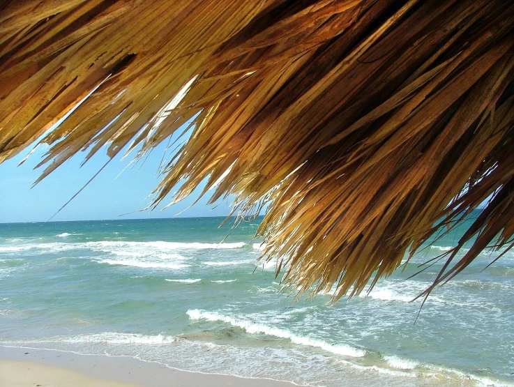 the sky over the ocean and a thatched beach umbrella