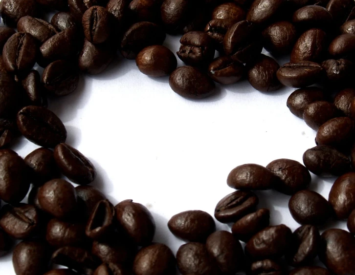 the grains of coffee are laid out on a white surface