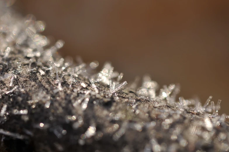 snow crystals are visible close up on this picture